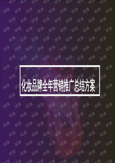 化妝品全年內容營銷與網絡推廣整合方案